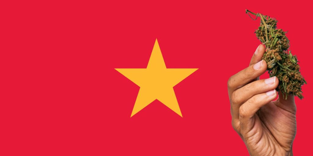 Czy marihuana jest legalna w Wietnamie?
